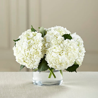 White Hydrangea Bouquet –  Heaven Sent Florist, El Paso TX