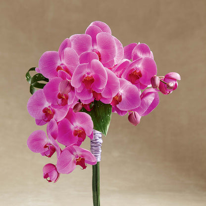 Glorious Bouquet –  Heaven Sent Florist, El Paso TX