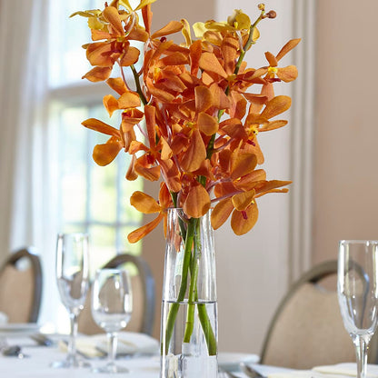 Orange Mokara Bud Vase –  Heaven Sent Florist, El Paso TX