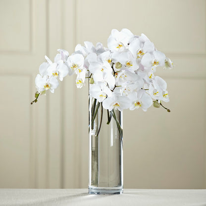 White Phalaenopsis Bouquet –  Heaven Sent Florist, El Paso TX